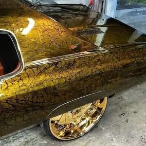 Meet your Posher, Xavier